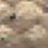 Beige Sabbia