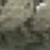 Verde Foglia