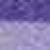 Viola Viola