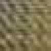 Beige 2 Beige 2