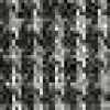 Pied De Poule