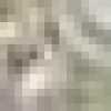 Beige Sabbia