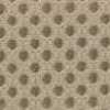 Beige Chiaro Beige Chiaro