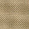Beige Beige