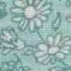 Menta
