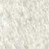 Bianco/Cammello Bianco/Cammello
