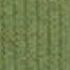 Verde Primavera
