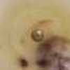 Beige Chiaro