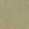 Beige Safari