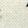 Bianco Sporco