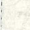 Avorio