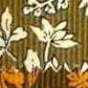 Beige Sabbia BRX Beige Sabbia BRX