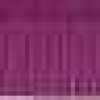 Viola Peonia