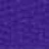 Viola Viola