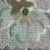 Menta Antica