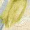 Cedro Tenue Cedro Tenue