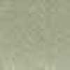 Beige Salvia