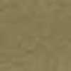 Cammello