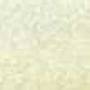 Beige Chiaro