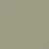 Beige Beige