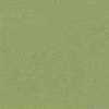 Lime Lime