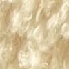 Beige Chiaro Beige Chiaro