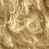 Beige Beige