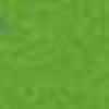 Verde Lime