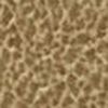 Beige Scuro