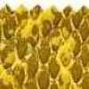 Giallo Giallo