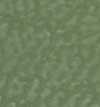 Verde Verde