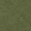 Tè Verde