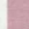 Rosa × Bianco Rosa × Bianco