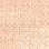 Rosa Salmone Rosa Salmone