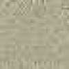Beige Kaki