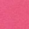 Rosa Rosa