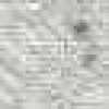 Ostrica