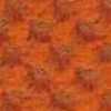 Arancione