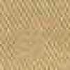 Beige Beige