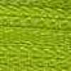 Pistacchio