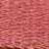 Rosa Salmone