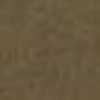 Cammello