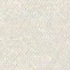 Beige Nebbia