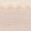 Beige Rosa