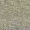 Beige Beige