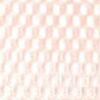 Rosa Salmone Rosa Salmone