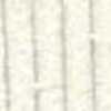 Avorio