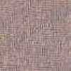 Rosa Aurora Rosa Aurora