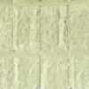 Verde Lime Verde Lime