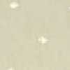 Avorio
